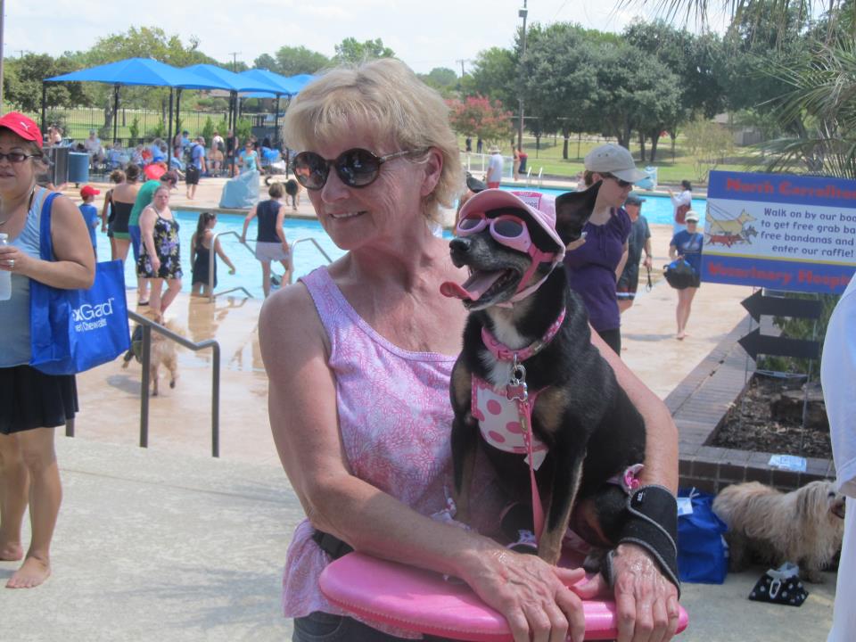 Pooch Pool Party