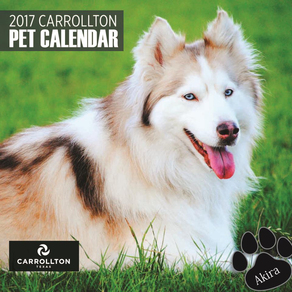 2017 Pet Calendar COVER image