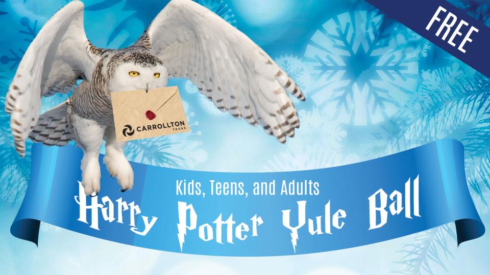 Harry Potter Yule Ball for Kids, Teens and Adults