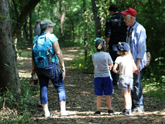 elm-fork-nature-preserve