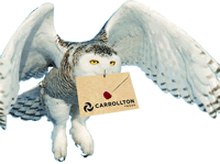 owl delivering Yule Ball invitation