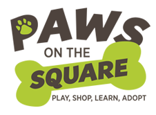 Paws-on-the-Square-p2