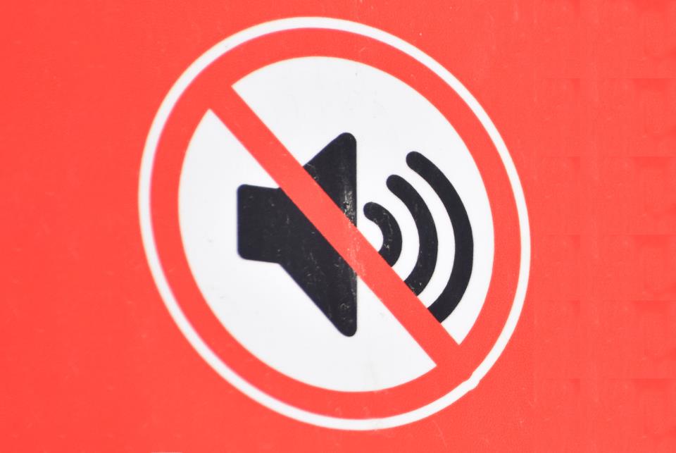 Noise-Ordinance-inset