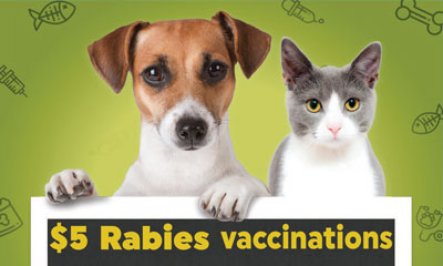 Rabies-Vacc-inset