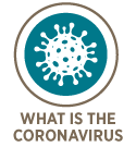 What-is-the-coronavirus