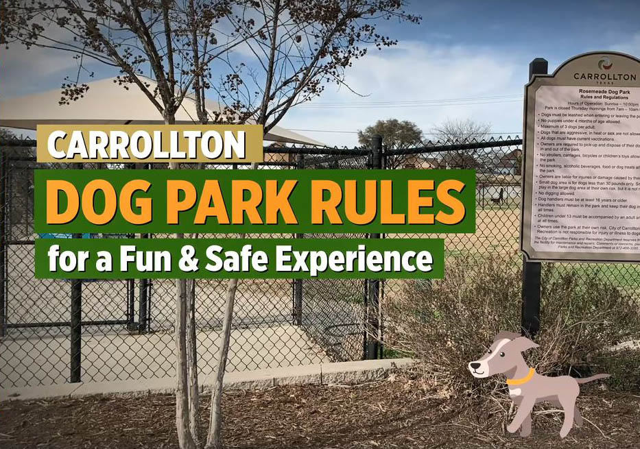 Dog Park News Item Thumbnail Photo