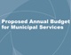 Budget Cover 2010