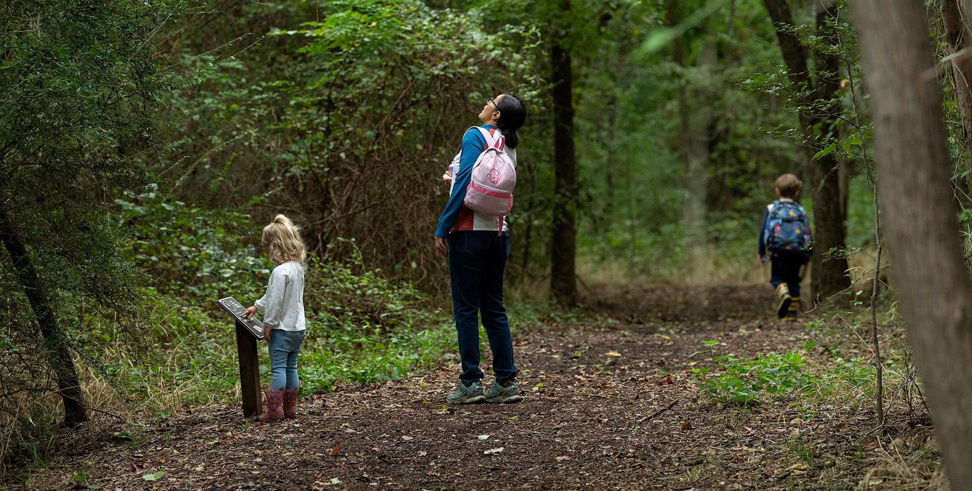 elm-fork-nature-preserve