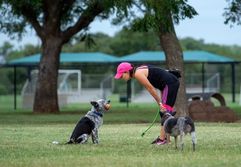 Lady with two dogs