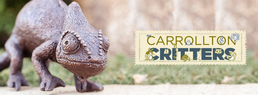 Chameleon with Carrollton Critters logo