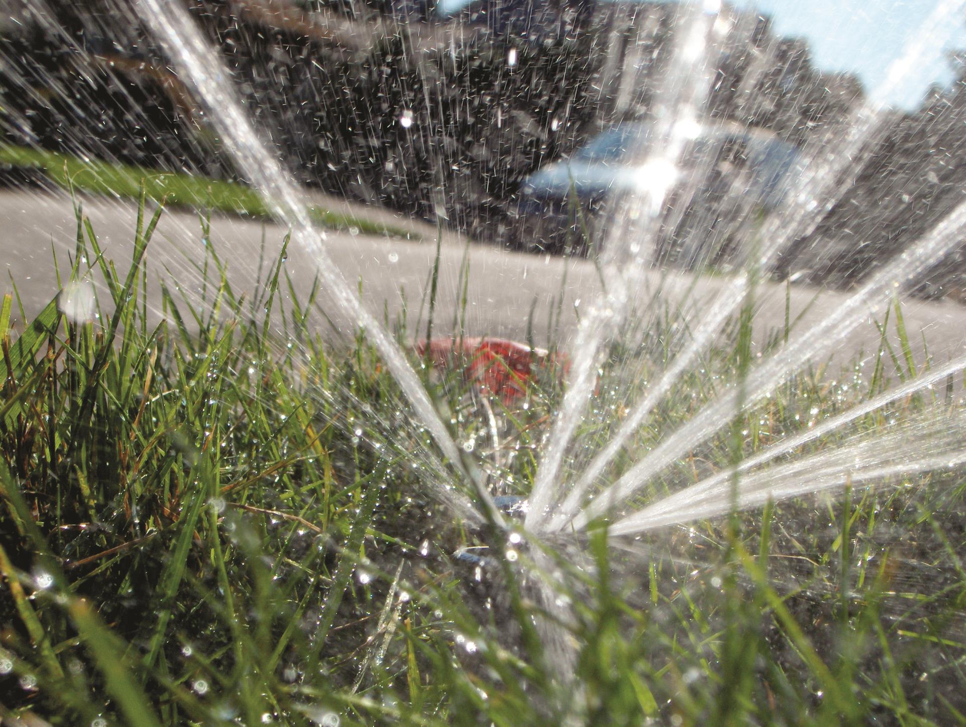 sprinkler by the street