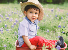 bluebonnets