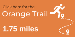 Orange Trail Button