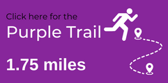 Purple Trail Button