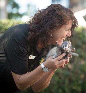 All About Animals presenter holding ferret