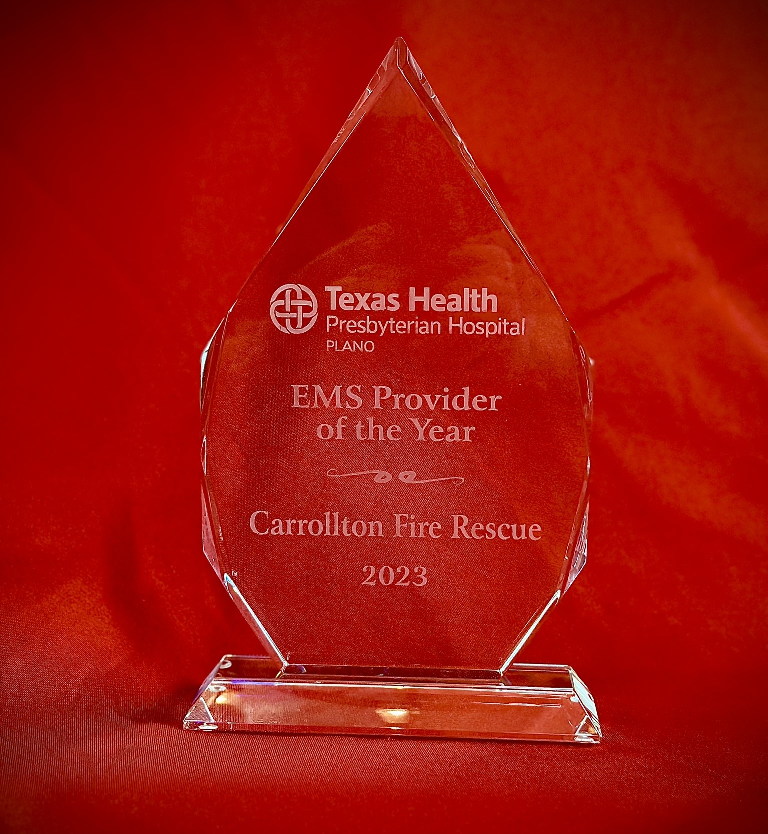 EMS Provider of the Year Award