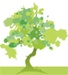 Tree from Recycling Calendar graphic