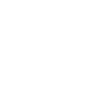 Magnifying-Glass-Icon