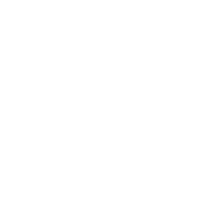 Financial-Statement-Icon