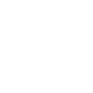 tax-icon