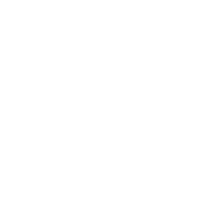 race-flag-closed-icon