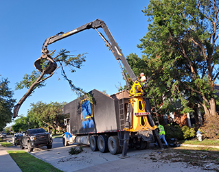 Large truck picking up dead trees with a claw