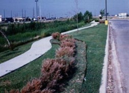 Landscaping Commercial Property