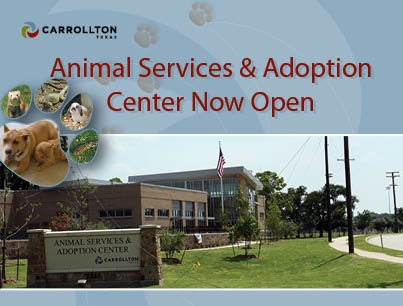 Animal Services Now Open