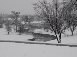 click on photo for larger view of snowy greenbelt