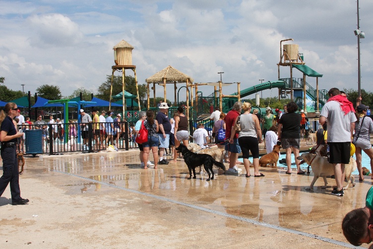 Pooch Pool Party