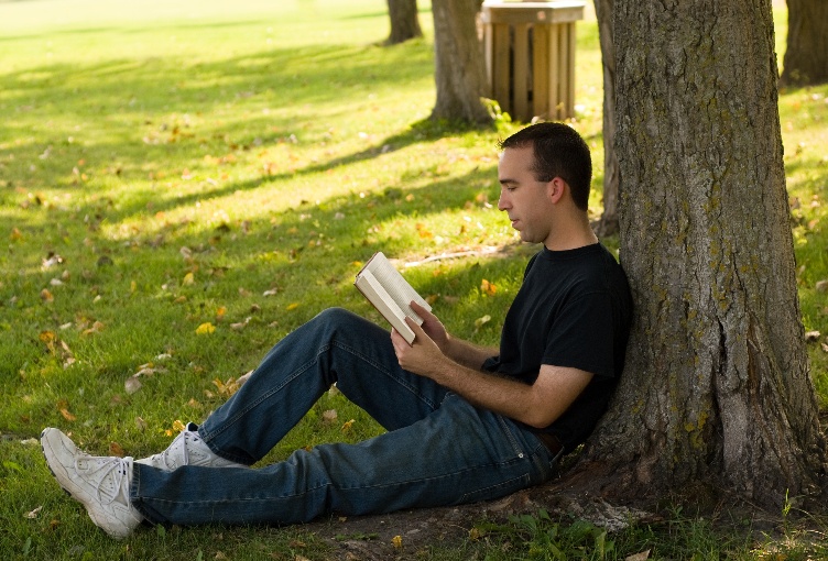 Man reading by tree