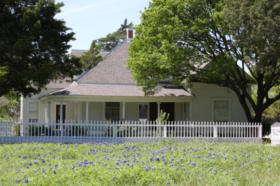 Museum bluebonnets