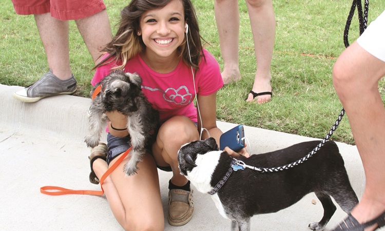 Rabies Vaccination photo