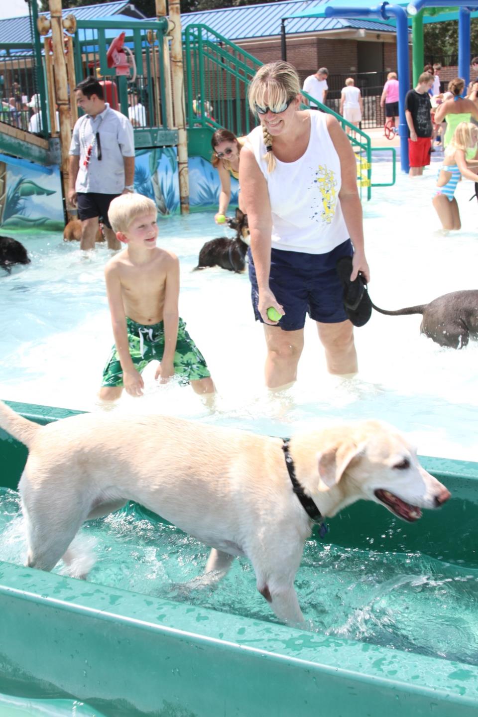 Pooch pool party 2013